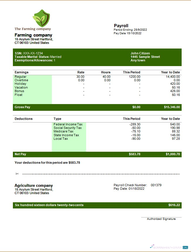 Download Farming company editable earning statement template in Word and PDF formats Photoshop template